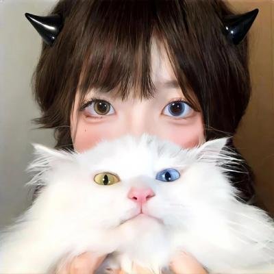 逆光飞翔